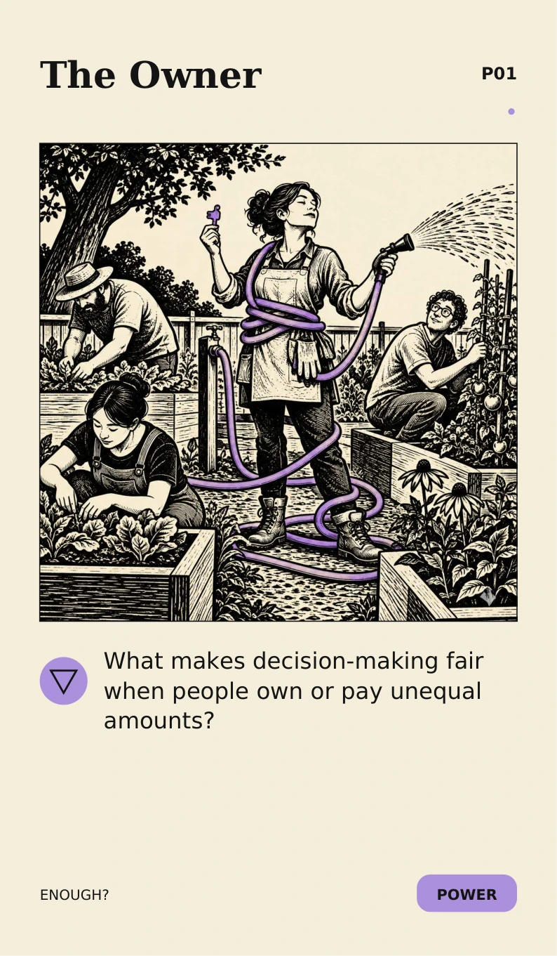 The Owner: What makes decision-making fair when people own or pay unequal amounts?